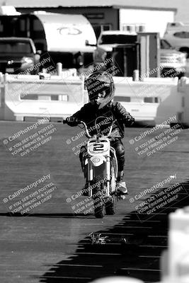 media/Nov-06-2022-SoCal Trackdays (Sun) [[208d2ccc26]]/Around the Pits/